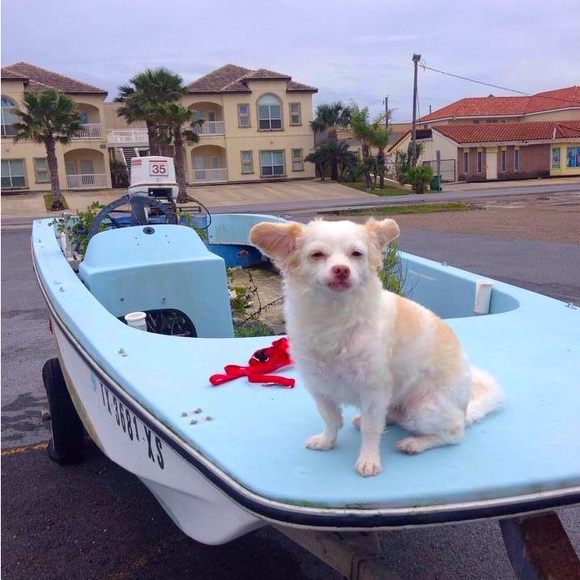 Meet your Posher, Sara - Picture 7 of 16